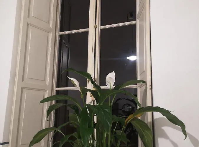 Apartamento Romeo. Luminoso Al Centro Di